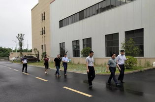 武汉市新洲区区长刘润长莅临德美新工厂调研指导工作