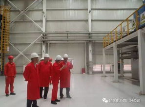 中石油天然气销售北方分公司总经理助理刘玉文到霸州LNG工厂考察调研